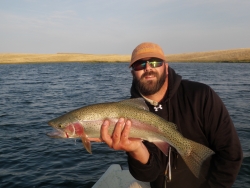 Wolffy rainbow